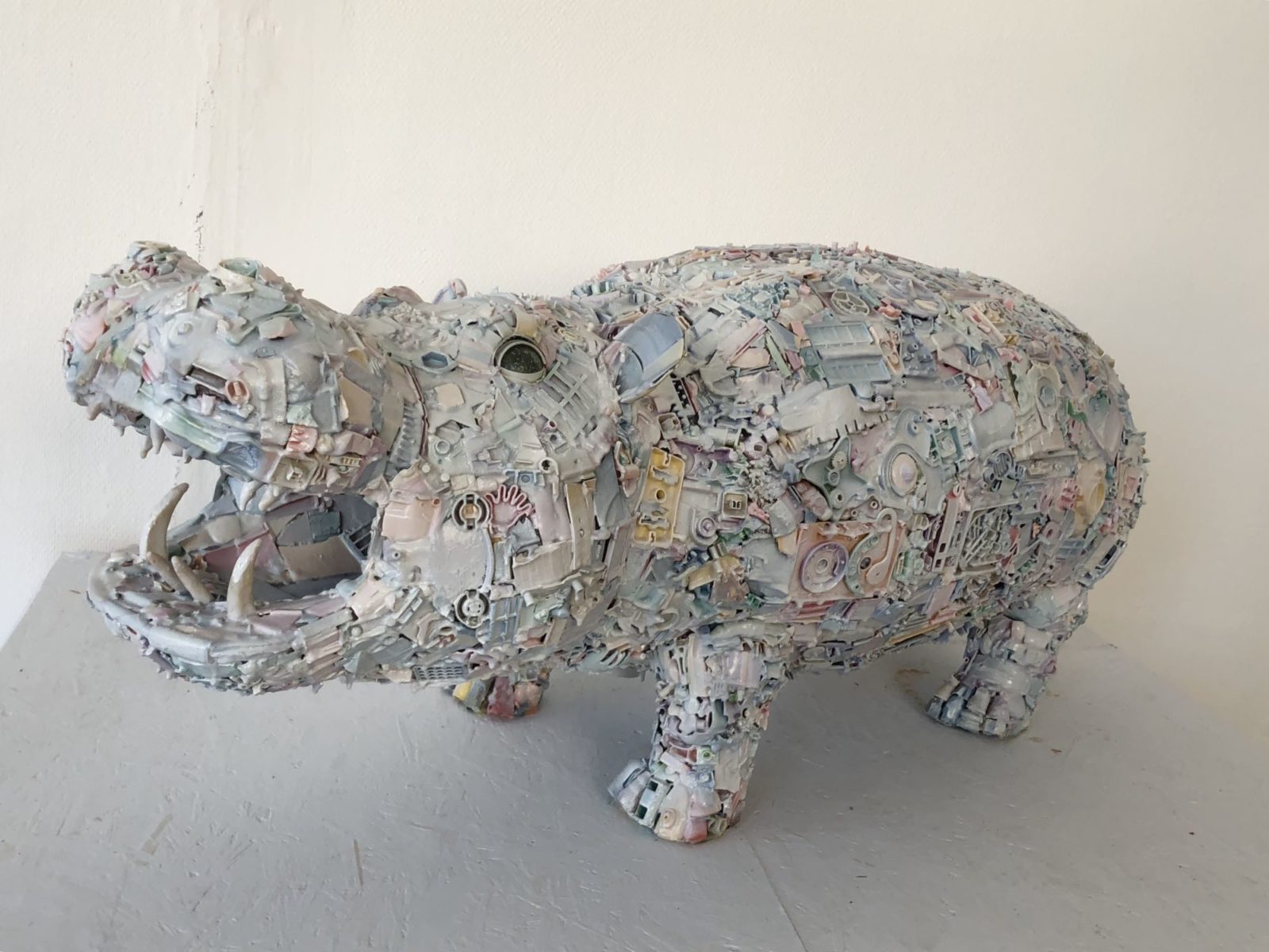 Hippo von Julien Garcia