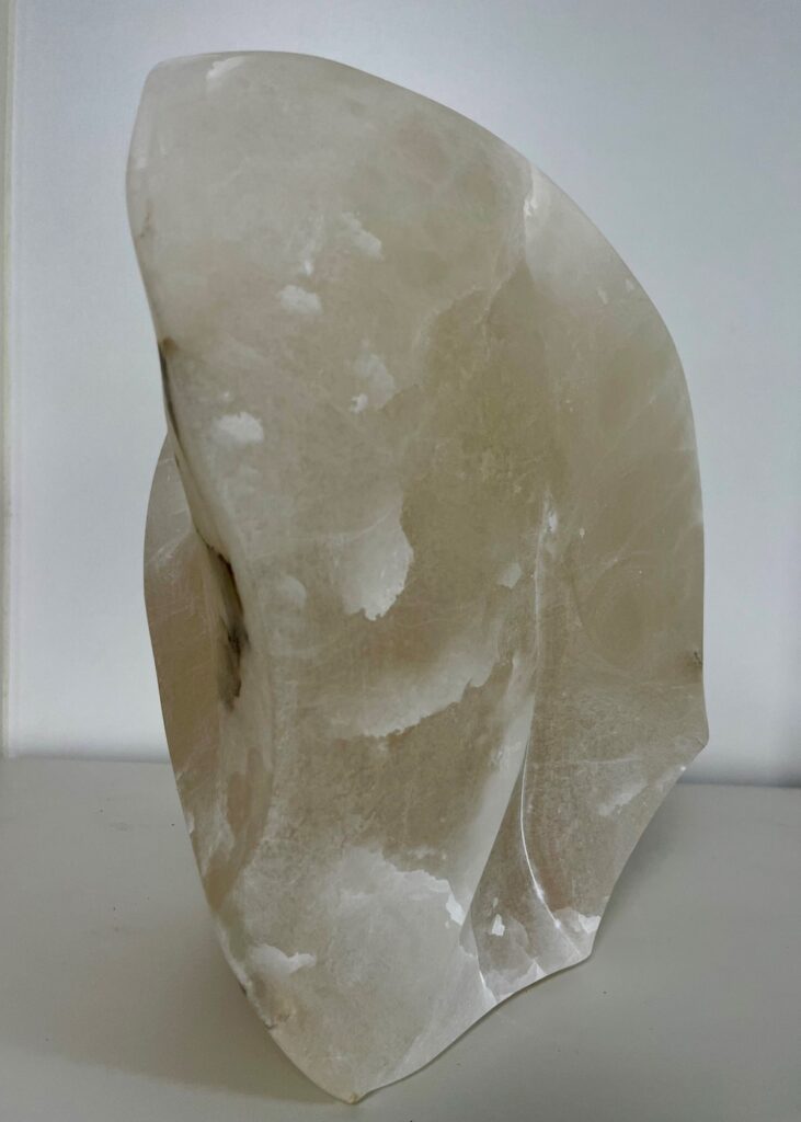 Schwanenfrau (3) von Michael Jaks