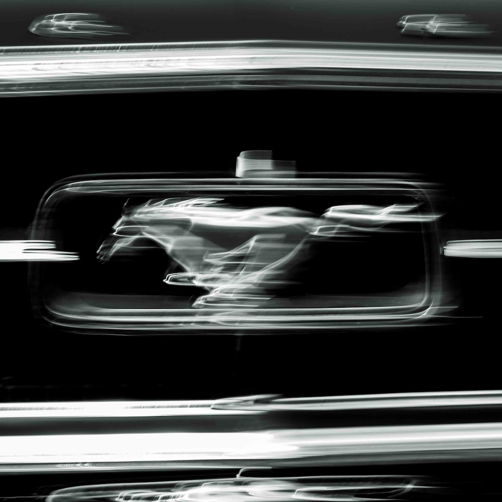 MUSTANG01 von Michel Peeraer