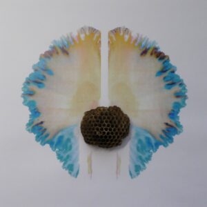 Der Kreislauf (Wespennest) von Käthy Borer-Gut