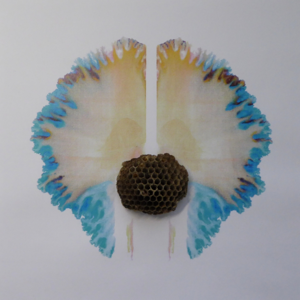 Der Kreislauf (Wespennest) von Käthy Borer-Gut