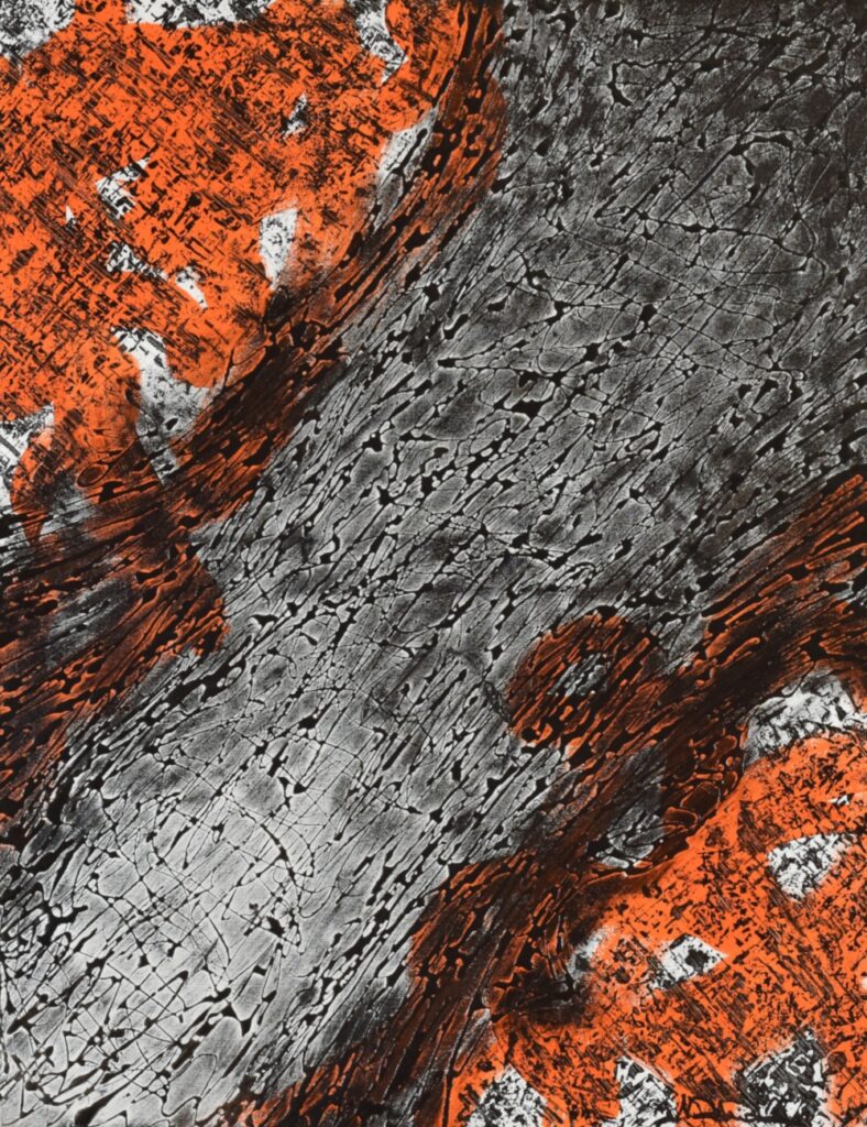 La Faille von Antoine Aranda