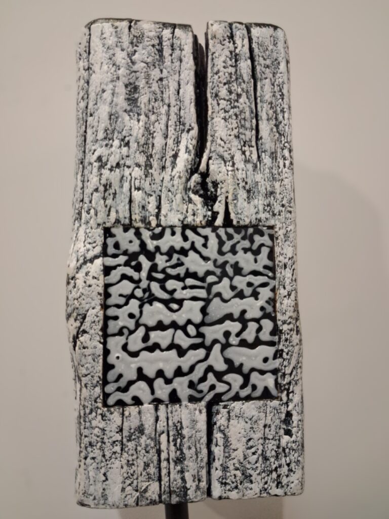 Lucie 2 von Antoine Aranda