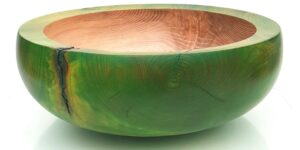 Schale grün 2 von Patrick Rapp
