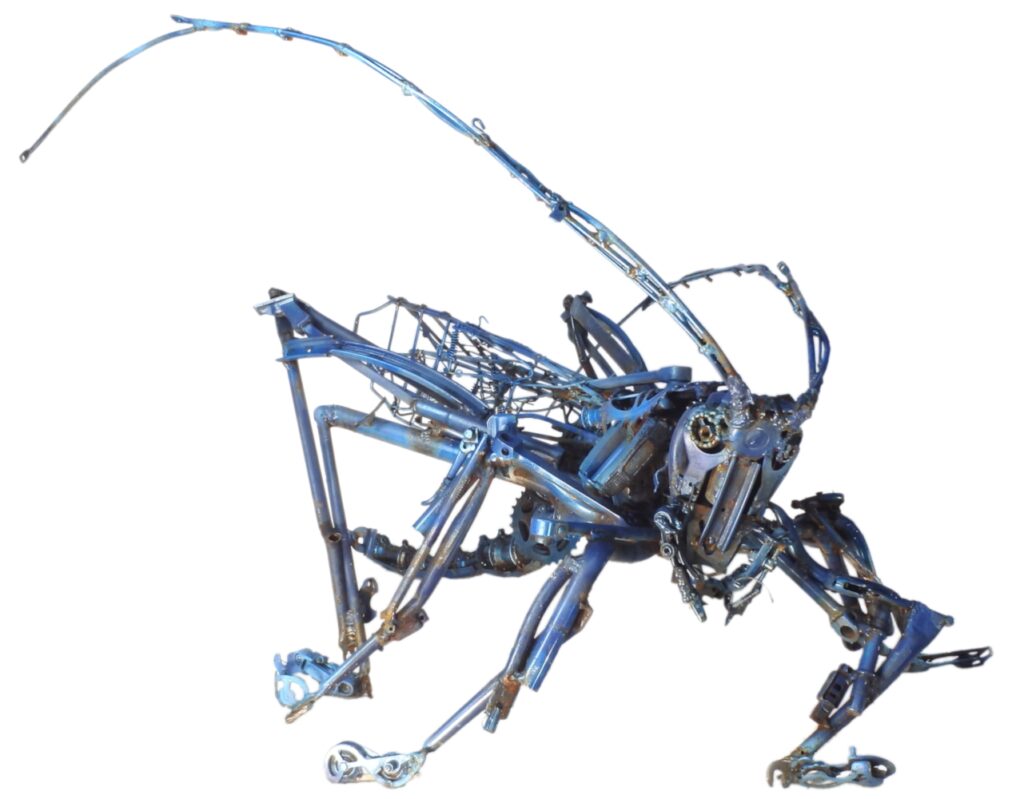 Grünes Heupferd von Christian Zengerle