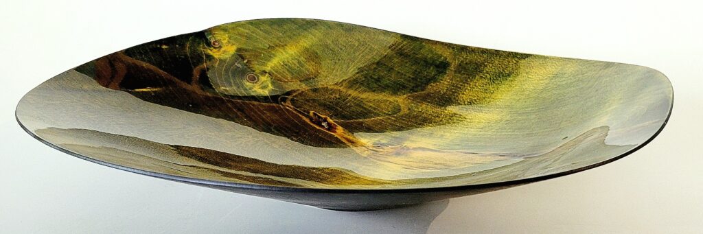 Schale grün 3 von Patrick Rapp