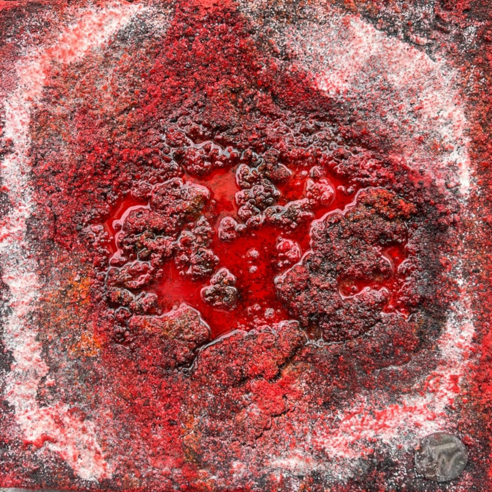 Schmelzpunkt von Thomas Nüssle