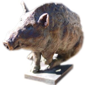 Wildschwein (schnell) von Christian Zengerle