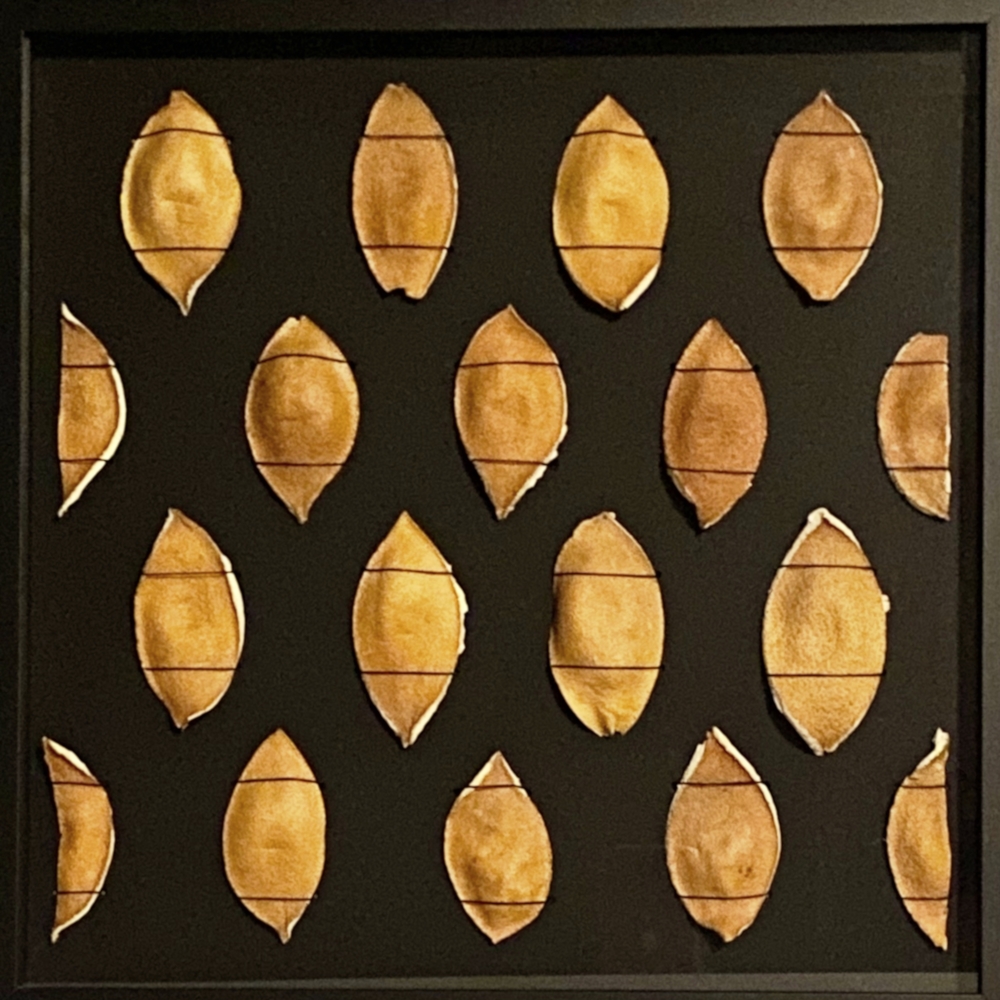 verschämter Genuss von Heike Mages