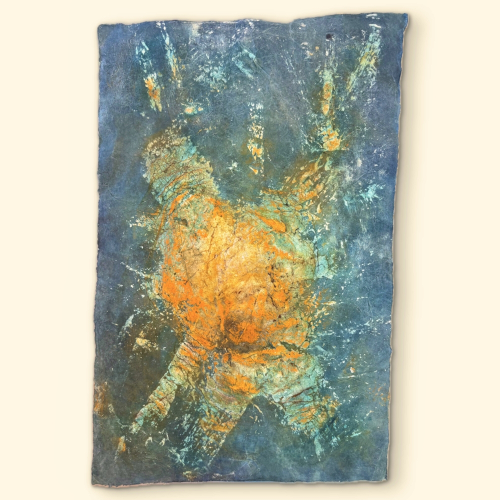 Tortuga von Melanie Mittmann