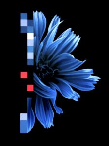 Change von Hannes Bodmer