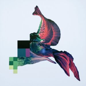 Evolution von Hannes Bodmer