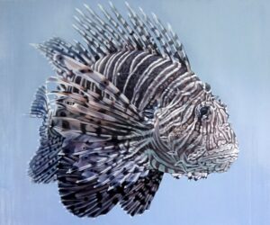 Lionfish von Hannes Bodmer
