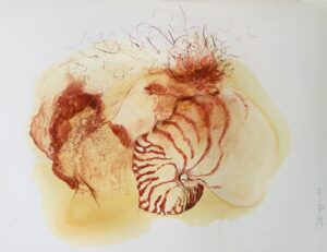 Embracing (Aus der Serie Dancing with Nautilus) von Patricia Bailer