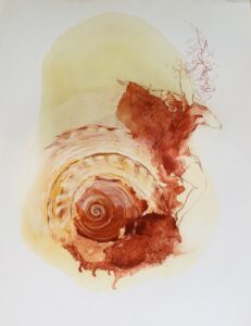Receiving from outside (Aus der Serie Dancing with Nautilus) von Patricia Bailer