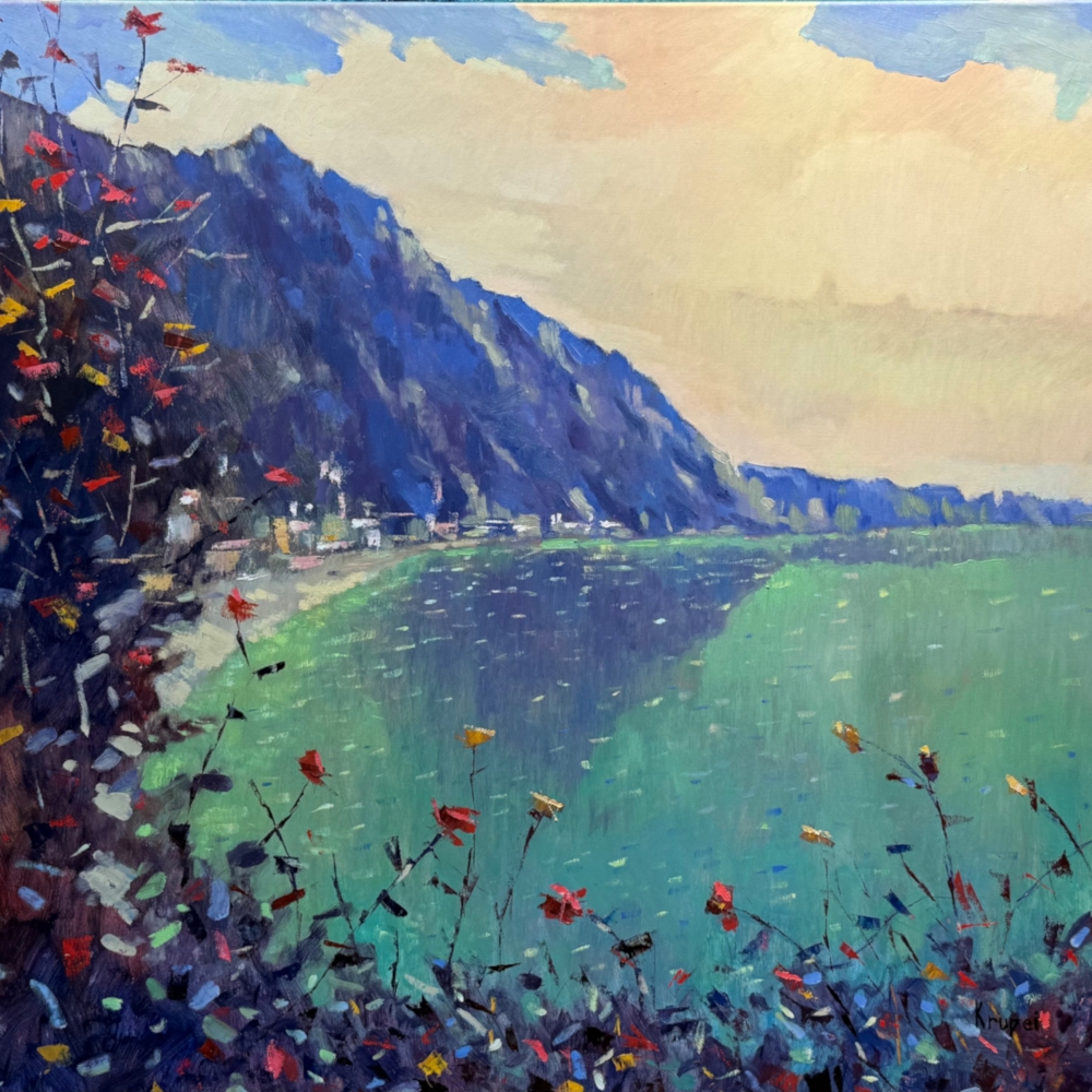 Sommerlandschaft von Dmytro Krupei